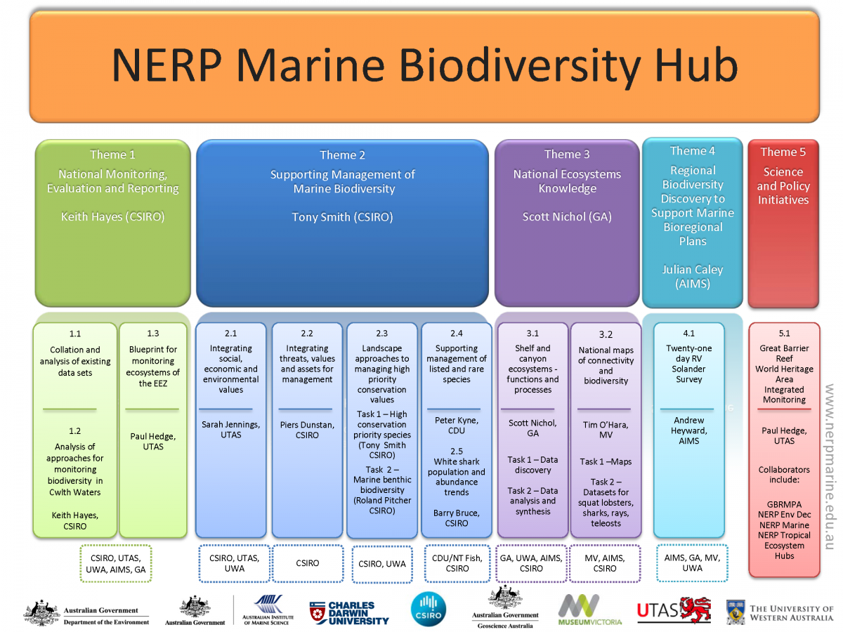 NERP Marine Biodiversity Hub Project/Theme structure