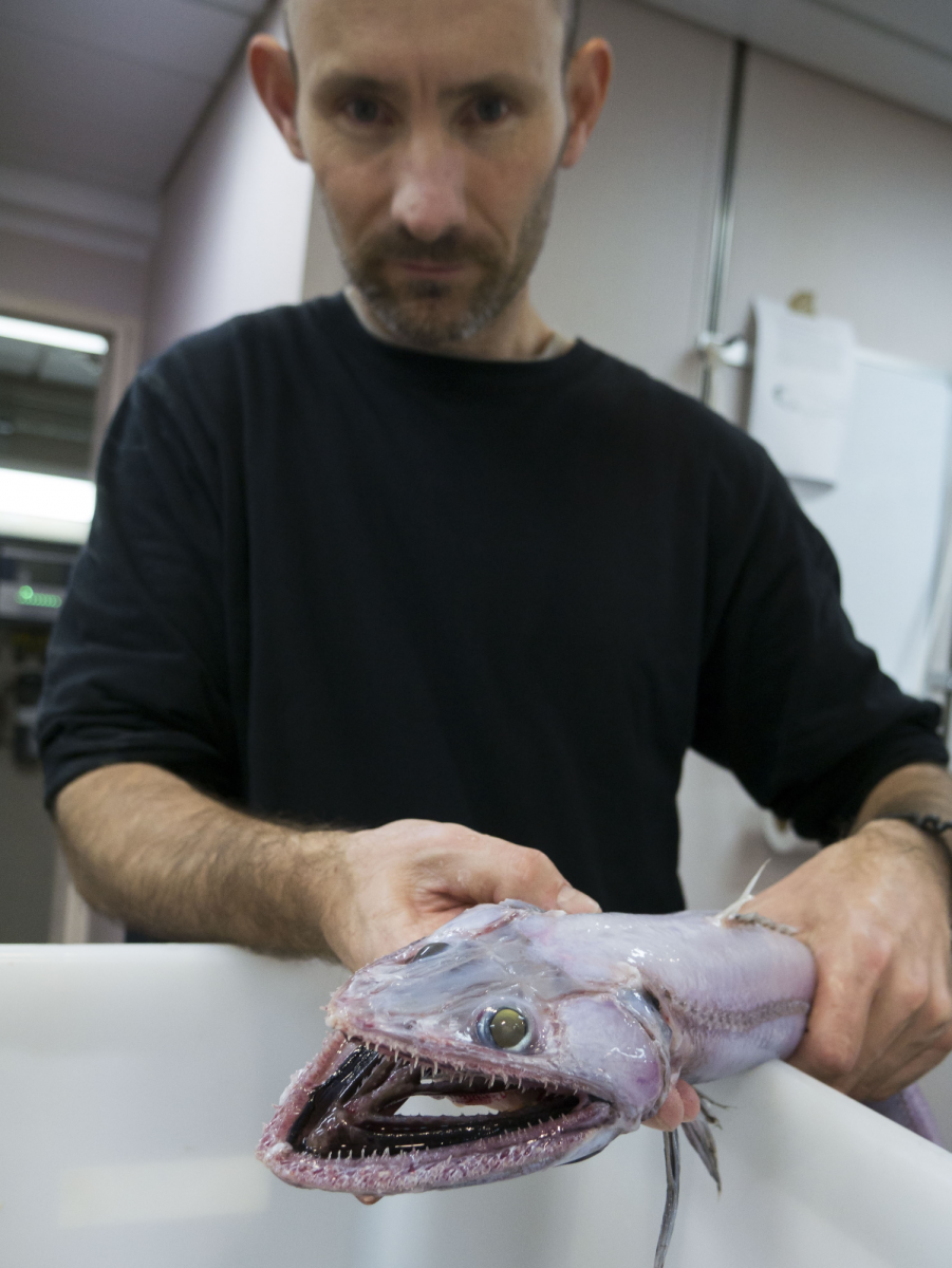 John Pogonoski with a lizard fish