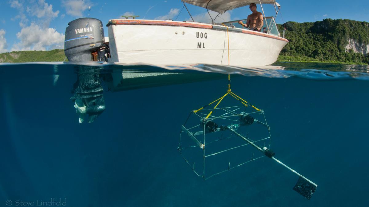 Retrieval of baited remote underwater stereo-video system