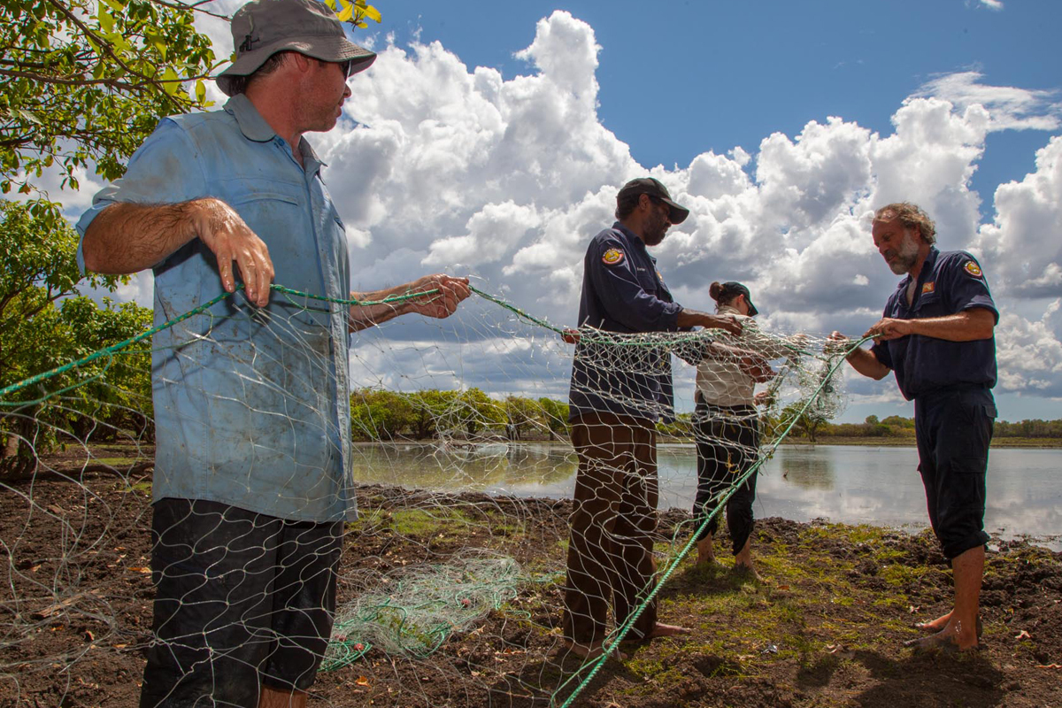 Gill netting for Largetooth Sawfish