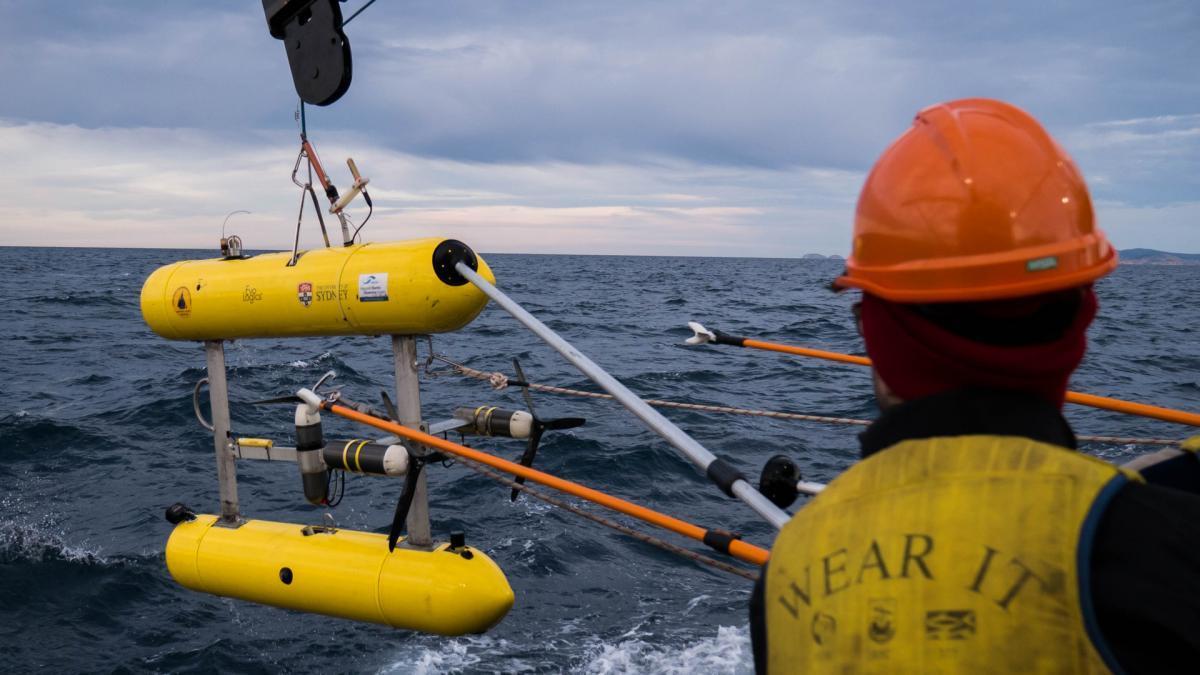 An autonomous underwater vehicle being deployed at sea