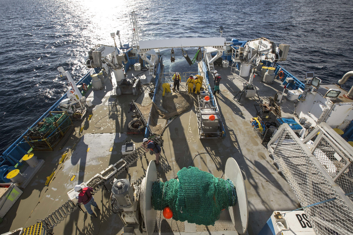 Beam trawl full of mud on deck