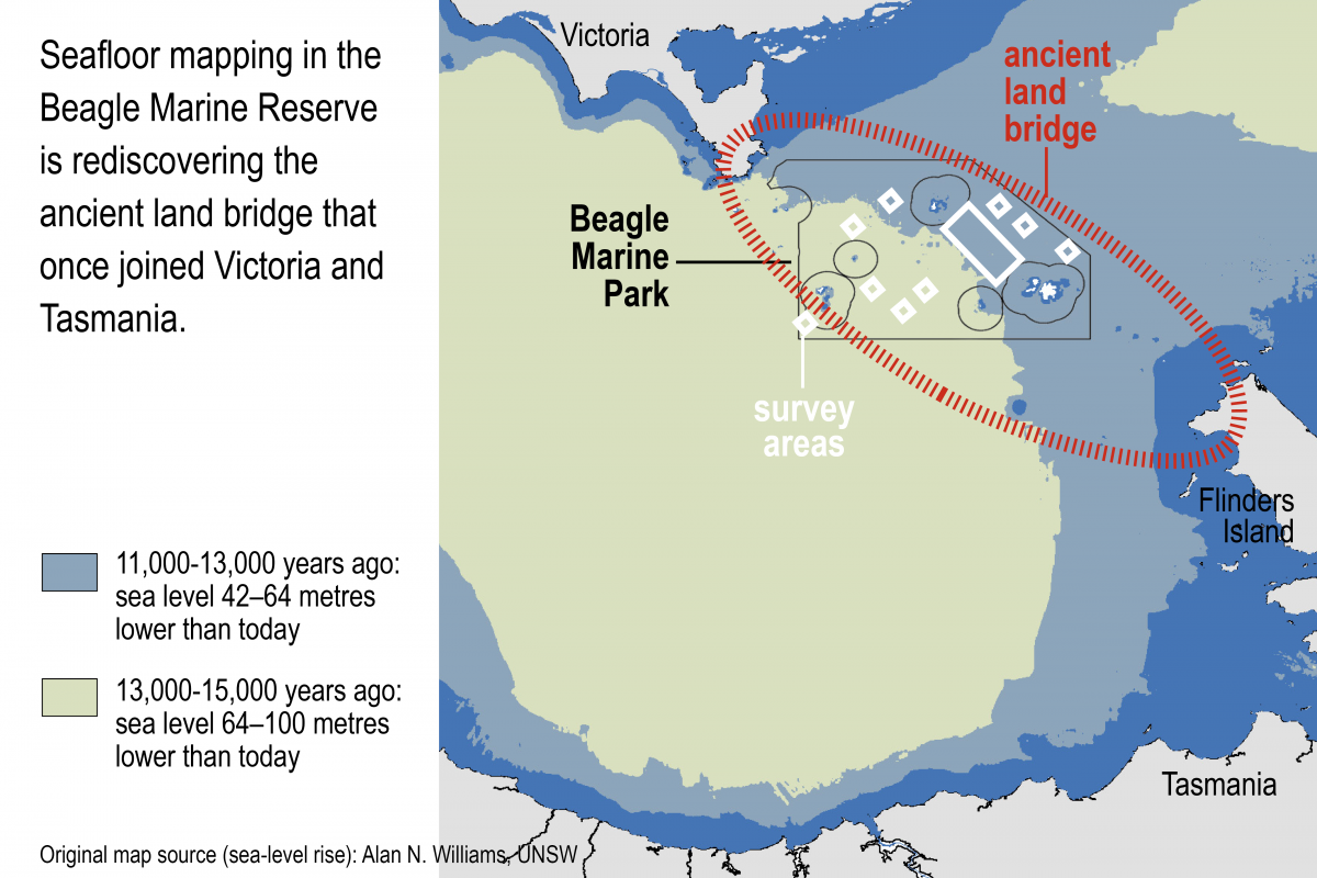 A map showing survey ares in the Beagle Marine Park and changes in sea level 