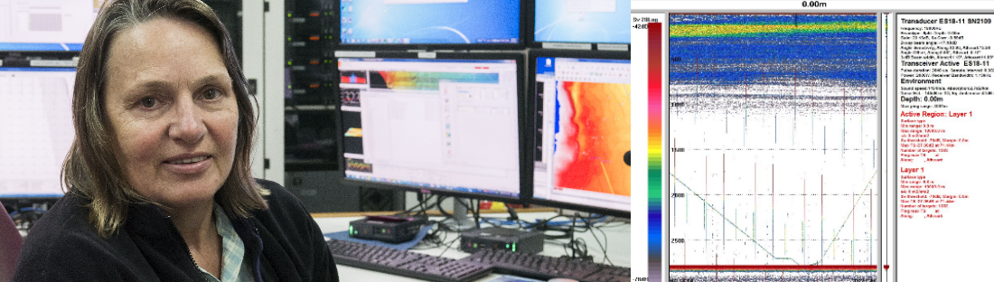 A scientists sitting at a data acquisition display, and an image of sonar backscatter