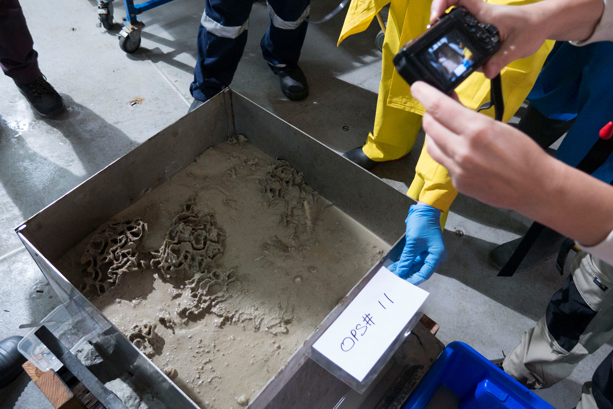 Box corer full of sediment