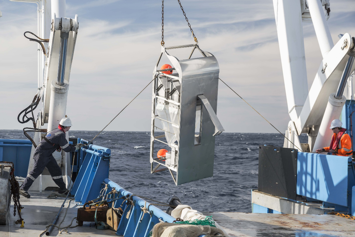 Retrieval of the Brenke sled on the RV Investigator