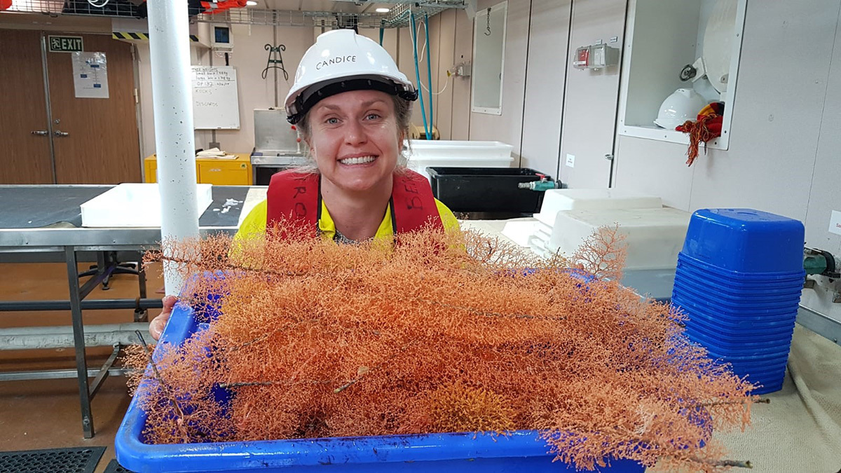 Candice Untiedt with bottlebrush gold corals