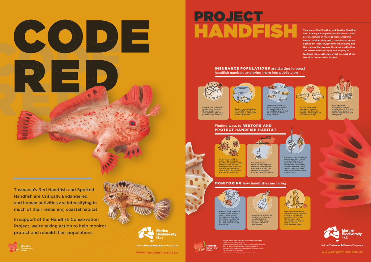 Code Red Handfish poster