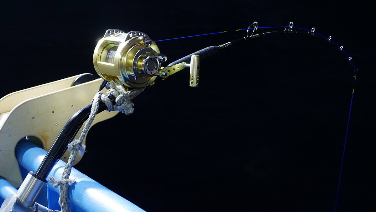 The fishing rod and reel