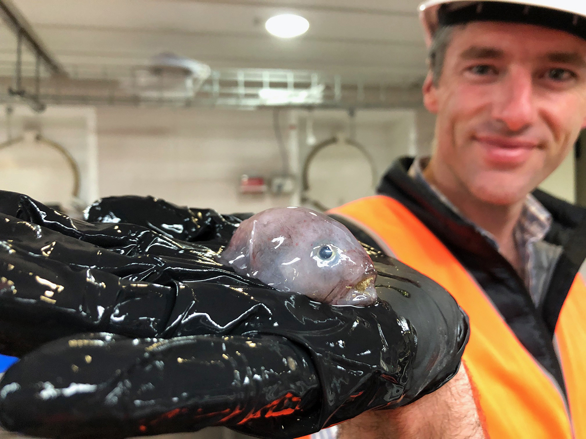 Jason Mundy with a blobfish