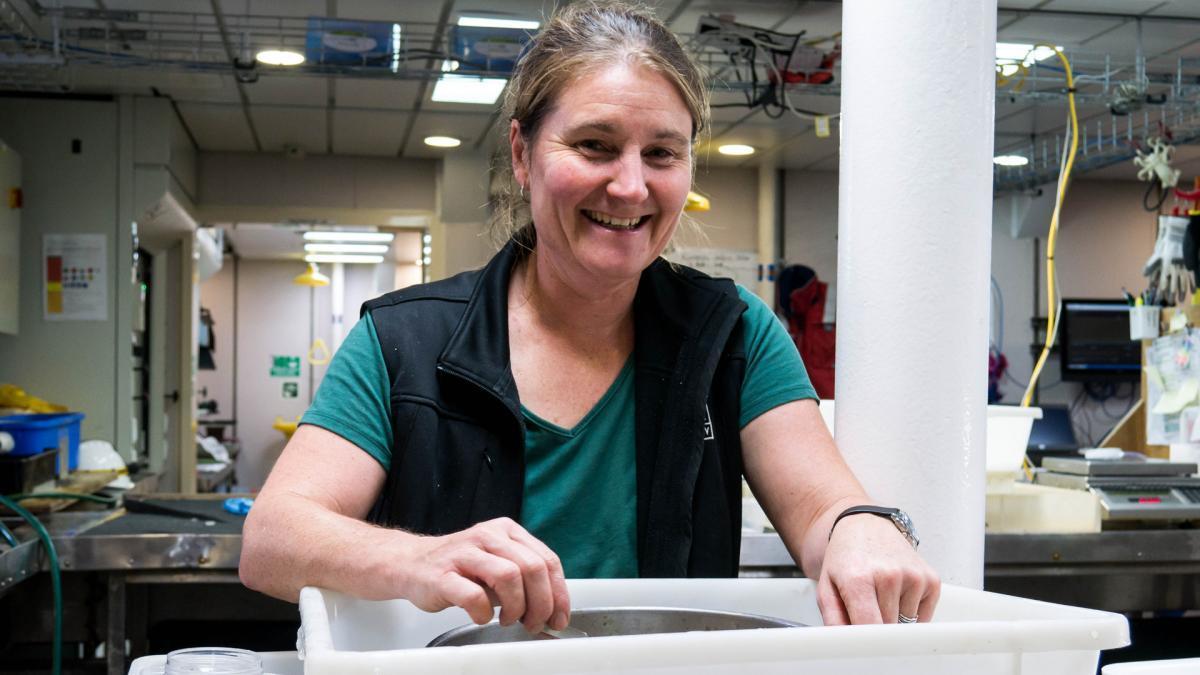 Kirrily Moore of the Tasmanian Museum and Arts Gallery sorting samples on the RV Investigator