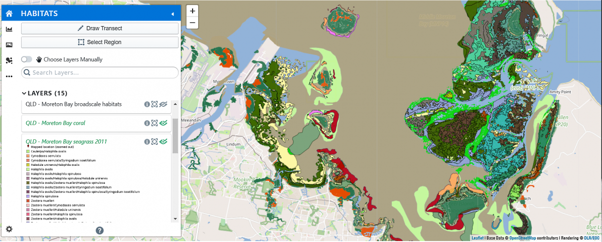 A map depicting Moreton Bay seagrasses and corals