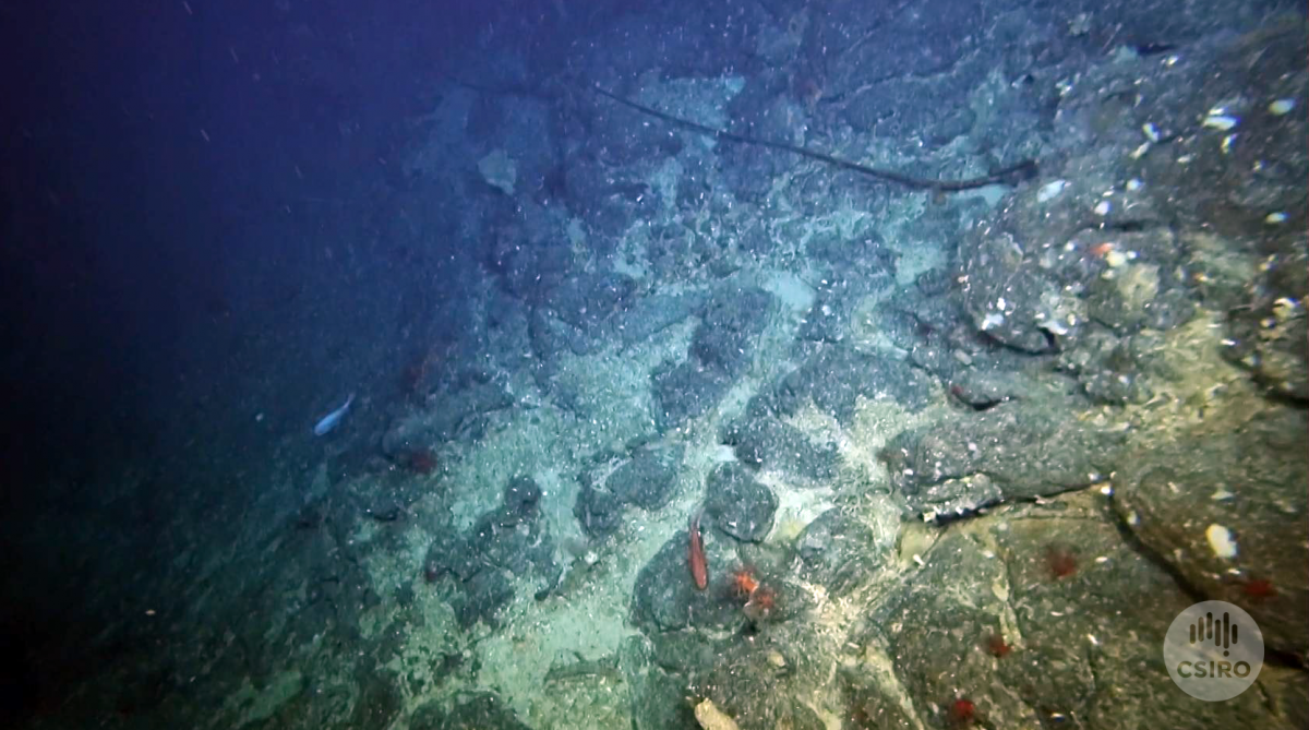 Trawl wire on the seafloor