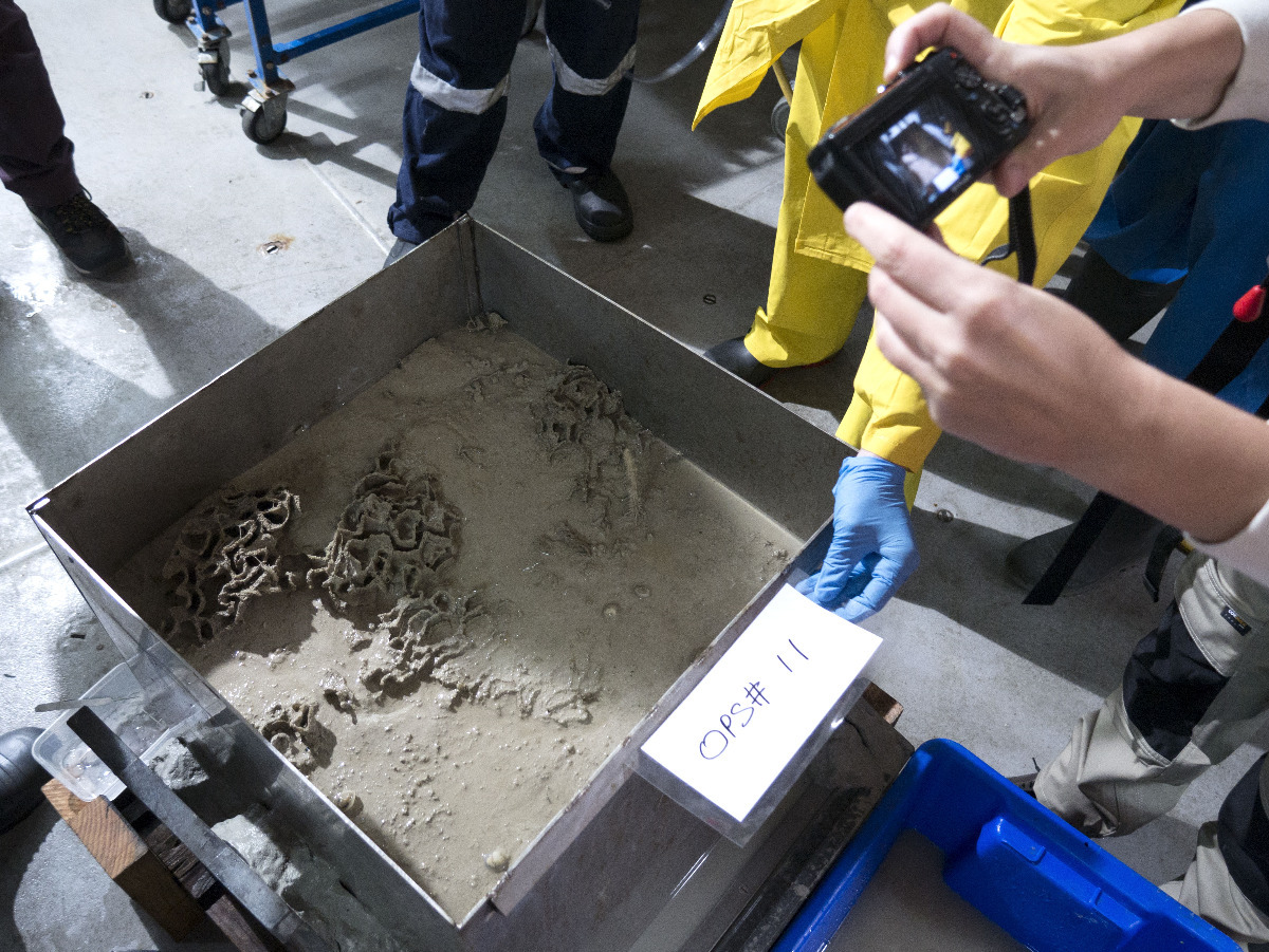 Photographing a perfect square of seafloor.