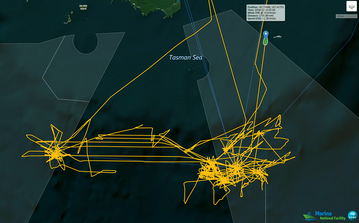 The survey track showing transects over seamounts