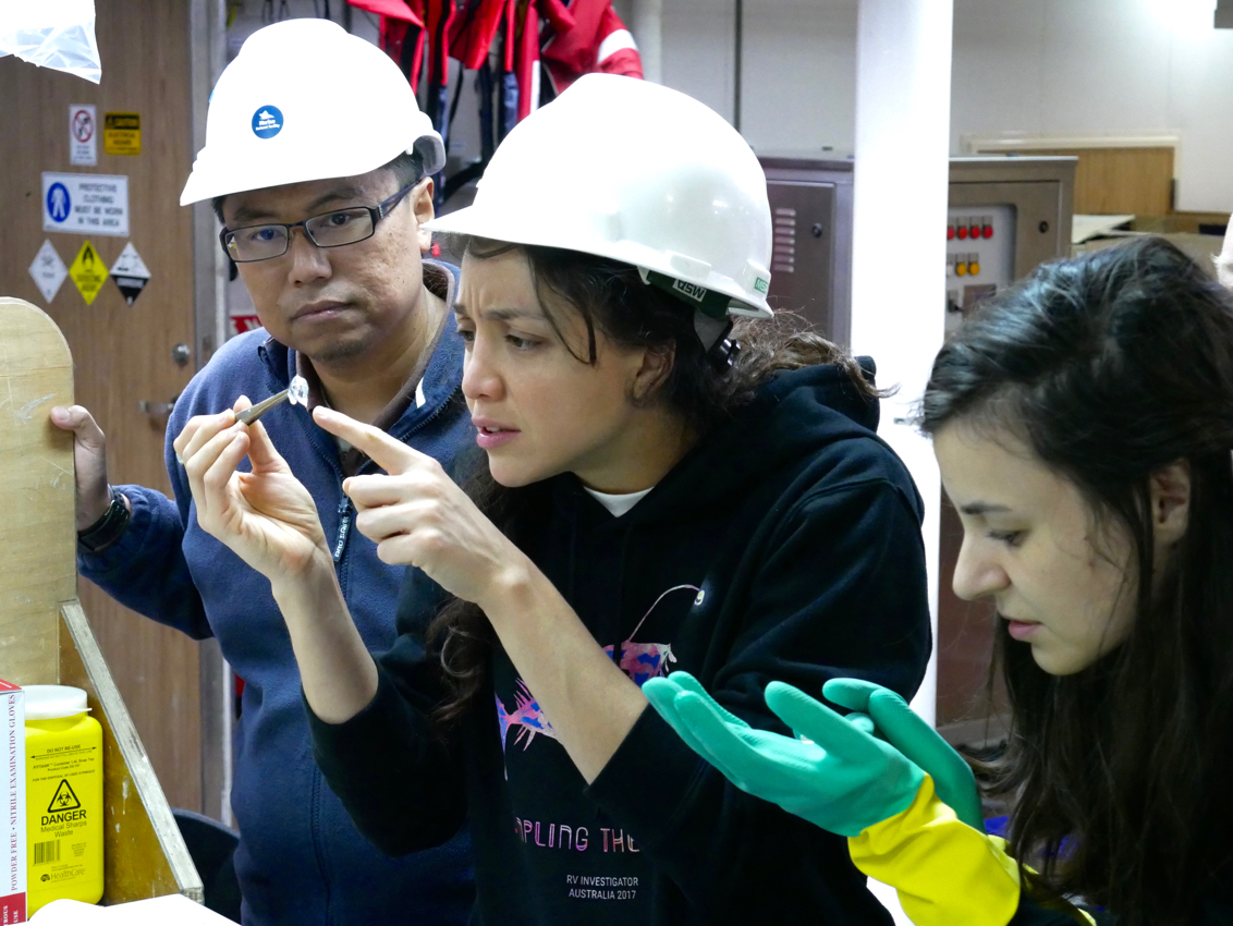 Scientists identifying samples on the RV Investigator