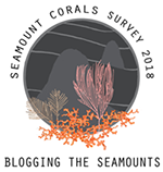 Seamount blog logo