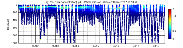 Chlorophyll concentrations measured at Bremer by the IMOS Seaglider.