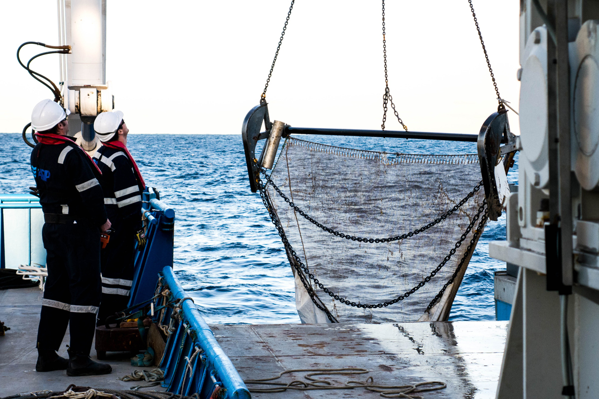 Beam trawl deployment