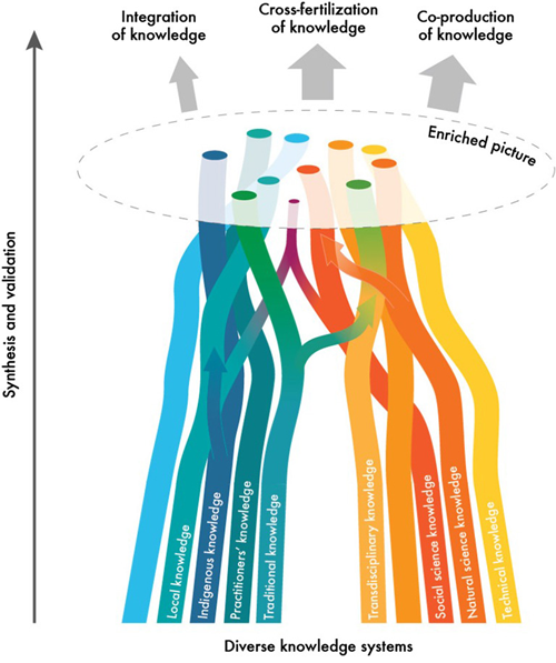 Graphic depicting complementary knowledge systems