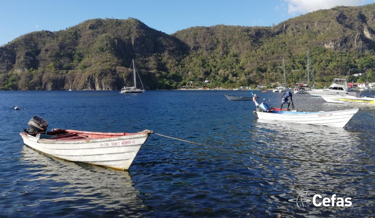 Traditional fishing vessels at St Lucia