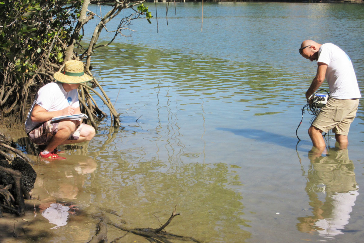 Monitoring water quality near mangroves at Elanora on the Gold Coast