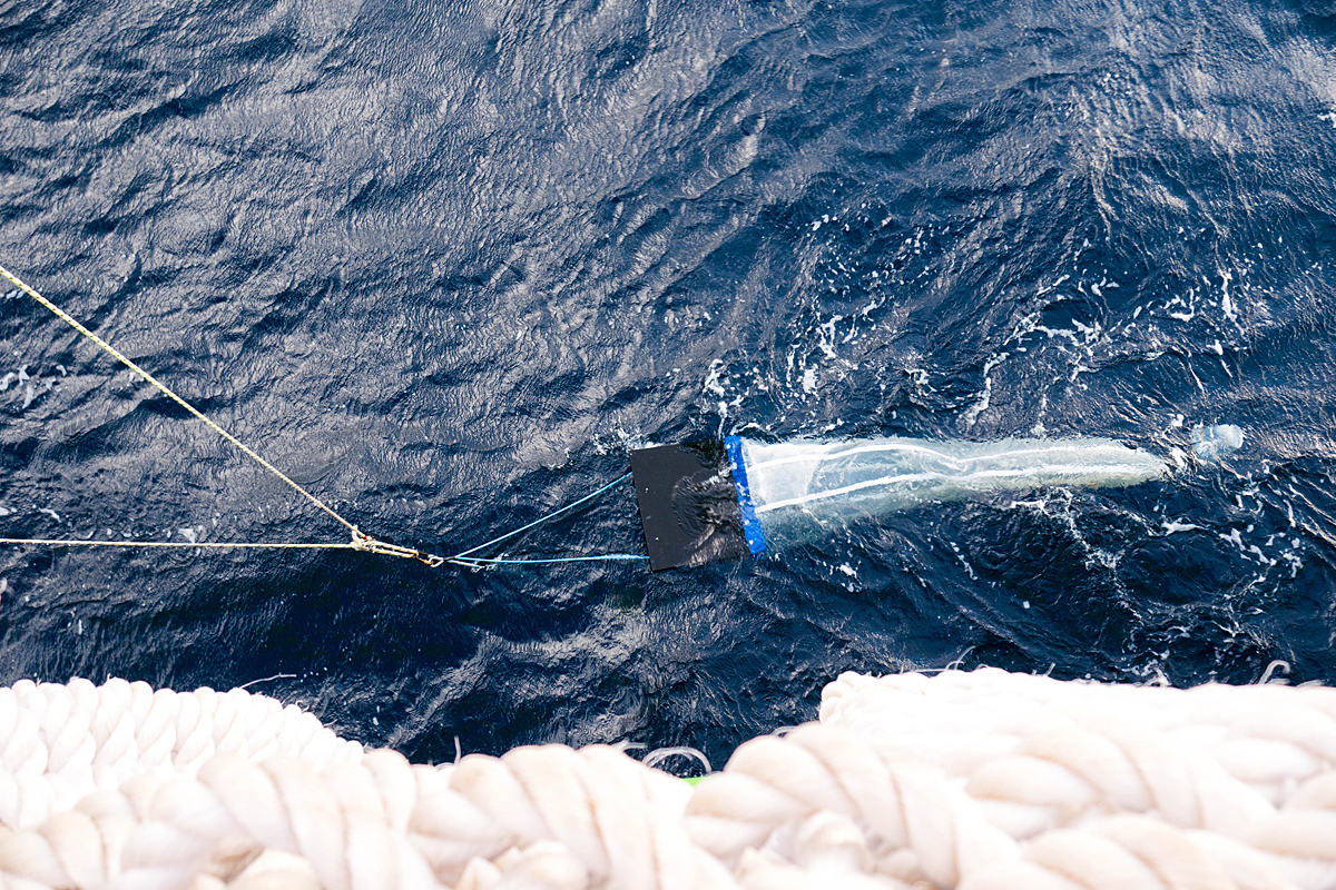 manta net in the water