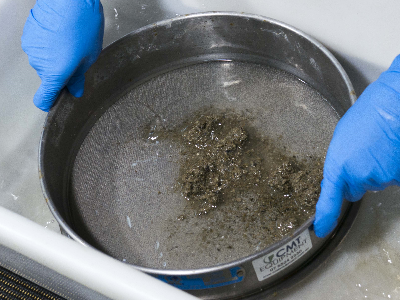 Sieving sediment from the Brenke sled