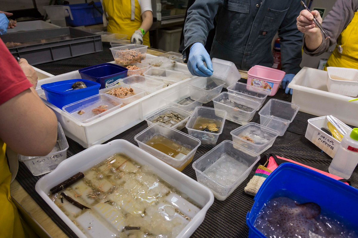 Sorting samples into containers