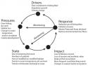 Drivers-Pressures-State-Impact-Response DPSIR Framework