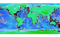 Locations of brittle star samples destined to contribute to the global mapping project. Blue dots: continental shelves; red dots: bathyl; yellow dots: abyssal.  Image: Tim O'Hara, Museum Victoria