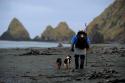 Heading out to hunt, Macquarie Island.  Photo: Chris Crera