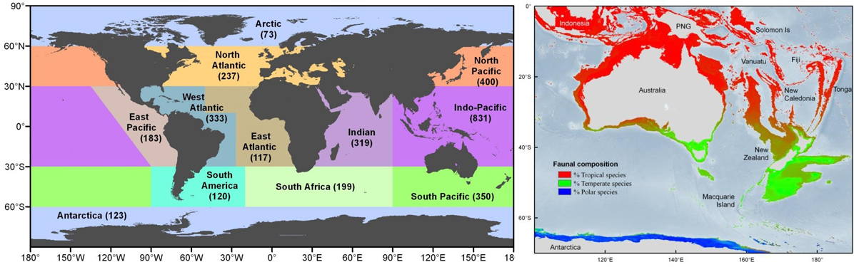 maps of seafloor life