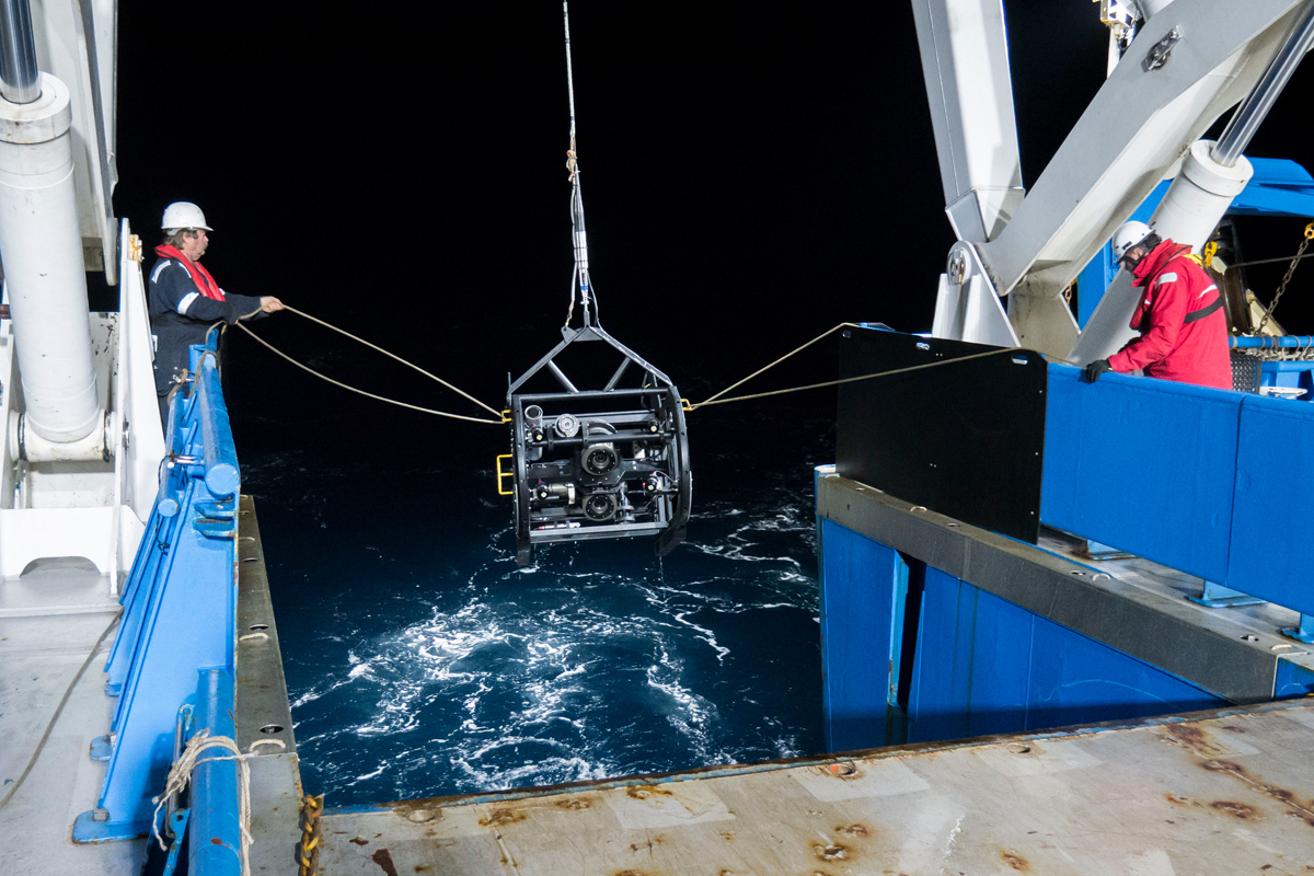 Beam Trawl