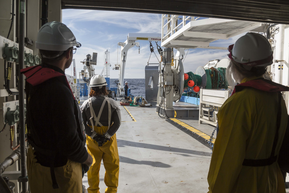 Scientists wait for the all clear to collect samples